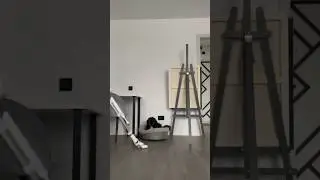 Все на месте. Вещи на полках,пыль в пылесосе,собака в лежанке😂 Уборка с Нори❤️ #любовь #собака