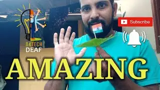 Amazing boat with pen looking 🤩🤩🤩