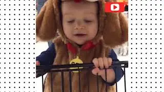 Cute Baby Costumes Compilation || FunnyCompilationXXL