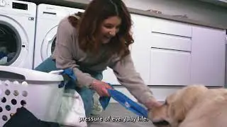 Introducing Paw&Go
