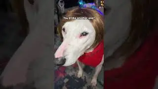 You want a picture? 