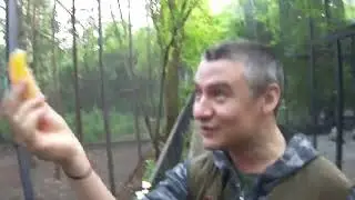 Кормим питомцев Тайгана!