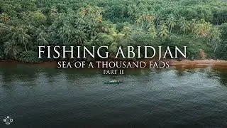 Fishing Abidjan Part 2: Sea of a Thousand FADs