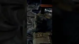 Самый угар ору🤣😂🤣😂🤣😂