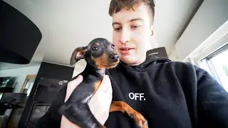 DIDI IS TERUG!