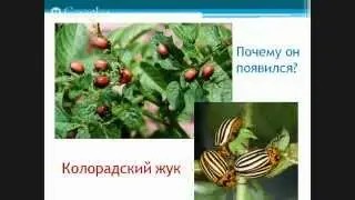 Огород от А до Я. Защитина Валерия