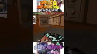 Top Funny Moments in Valorant 