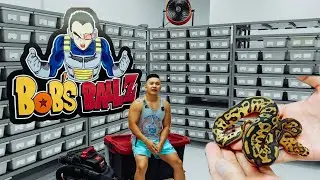 Bobs Balls Facility Tour
