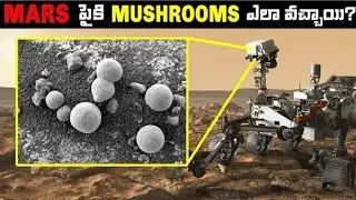 Mars  పైకి Mushroom ఎలా వచ్చాయి?? Mushrooms Find on Mars/ Dark universe