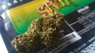 🇺🇲SFV x TK Jungleboys🇺🇸UK Review 2020 ( sfv og x triangle kush)