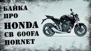 Stories about HONDA CB 600 FA Hornet. Beautiful And Modern?