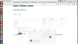Report