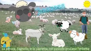Pastorap: Buona notte amici