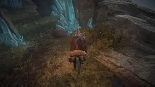 Turtle Time - Elden Ring