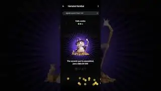 17 06 24  Комбо в 3 карты на 5000000 в Хамстер Комбат   Hamster Kombat #hamsterkombat  #combocards