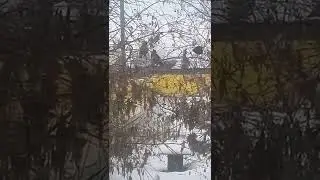 21 октября 2022 г.
