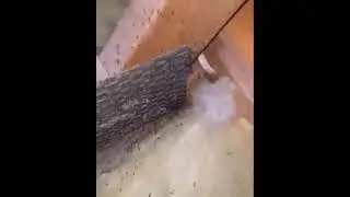 Ants Control Canberra | Call 0407 065 413