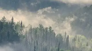 КРАСНОЯРСКИЕ СТОЛБЫ
