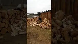 Колка дров
