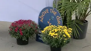 Louisville Water promoting local businesses using award-winning tap water
