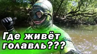 ОН КЛАССНО КЛЮЁТ! НО НУЖНО НАЙТИ ИХ ЛОГОВО!!!
