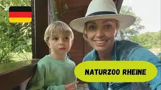 Зоопарк в Германии NaturZoo Rheine