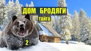 МЕДВЕДЬ вышел на меня из КУСТОВ ВСТРЕЧА СЛУЧАЙ в ТАЙГЕ ДОМ в ЛЕСУ ЛЕСНЫЕ ИСТОРИИ из ЖИЗНИ СЕРИАЛ 2