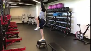 Step Up DB Press