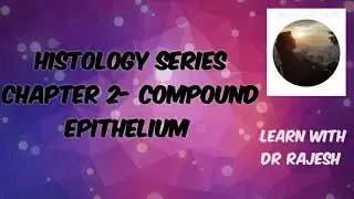 Histology of Compound Epithelium - draw and learn