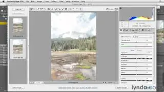 Comparing RAW and JPEG files - Adobe Photoshop Essential