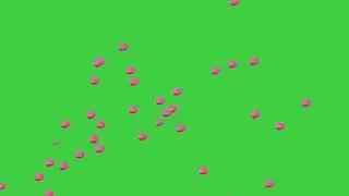 Green Screen Rose Patel's