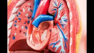 Left Atrial Appendage Closure for Atrial Fibrillation: The End of Warfarin?