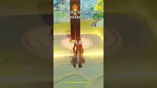 HIDDEN CHEST you might have missed #25 | Genshin Impact 