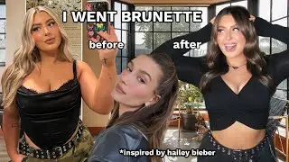 hailey bieber went brunette therefore i went brunette