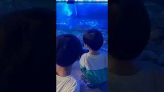 Aquarium cafe, Iloilo