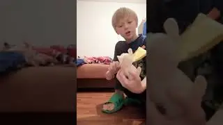 НАПАДЕНИЕ СОБОК!!!! ШОК!!! СМОТРИ ДО КОНЦА #5