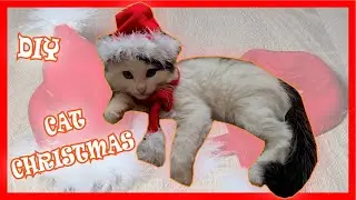 Cat Christmas clothes IDEAS! How to make Santa's hat and scarf for your cat! DIY!