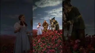 If The Wizard of Oz was filmed Vertically 