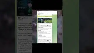 Самый сломанный саппорт патча 7.37c Нага сирена Dota 2 