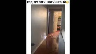 Код тревоги: коричневый😁