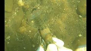 Catching California Crawdads (The Fun Way)