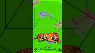 #greenscreen