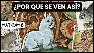 Why is Medieval Art so BIZARRE?
