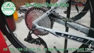 Xe đạp Life Lion Pro