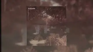 CXRGI - autumn