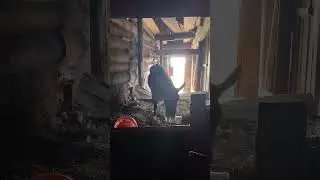 ОБРАБОТКА САРАЯ ЙОДОМ