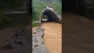 приморский край,надежденский район дорога на дачу