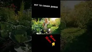 бабка нейросеть инопланетянин. 