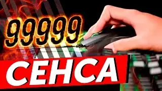 🏆 99999 СЕНСА 🏆