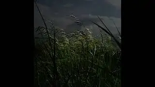 [FREE FOR PROFIT] SAD TYPE BEAT | SOUTHVIY - GUITAR VIBE